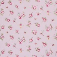 Rosebud rose
